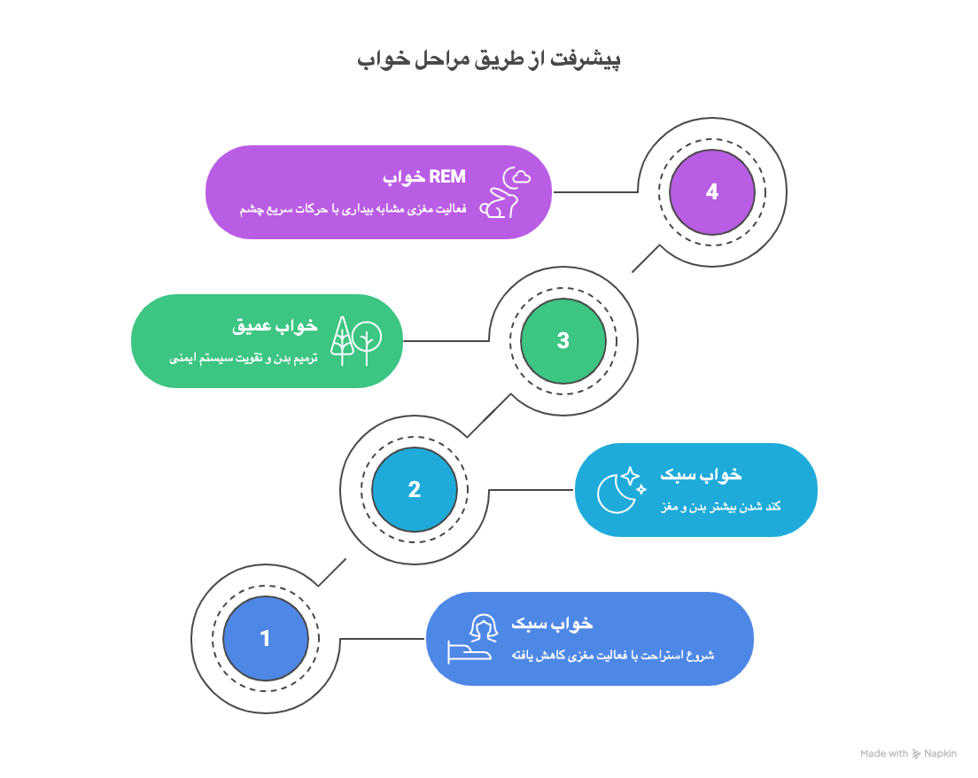 نمودار خواب عمیق نمودار خواب عمیق
